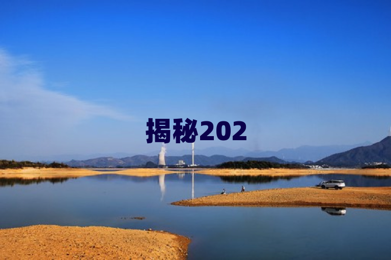 揭秘2025年必学技巧，如何有效增加dy业务粉丝数
