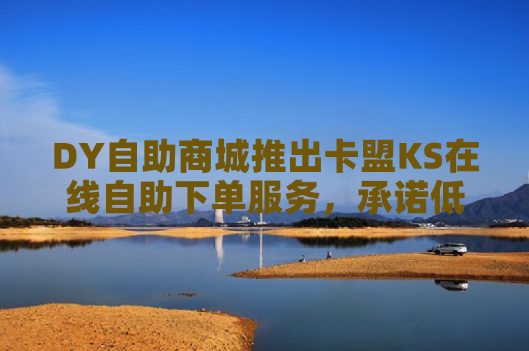 DY自助商城推出卡盟KS在线自助下单服务，承诺低价高质再燃竞争火花