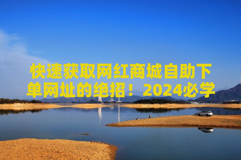 快速获取网红商城自助下单网址的绝招！2024必学技巧大揭秘