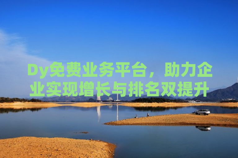 Dy免费业务平台，助力企业实现增长与排名双提升的创新解决方案