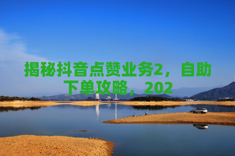 揭秘抖音点赞业务2，自助下单攻略，2025必学提升秘籍！，揭示了本文将深入探讨抖音点赞业务，并提供一份面向2025年的自助下单指南，帮助用户有效提升自己的抖音影响力。