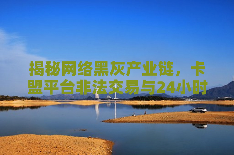 揭秘网络黑灰产业链，卡盟平台非法交易与24小时自动发卡服务背后的风险，旨在揭示围绕卡盟平台的在线下单服务、哔哩哔哩账号出售以及24小时自动发卡平台的现象。