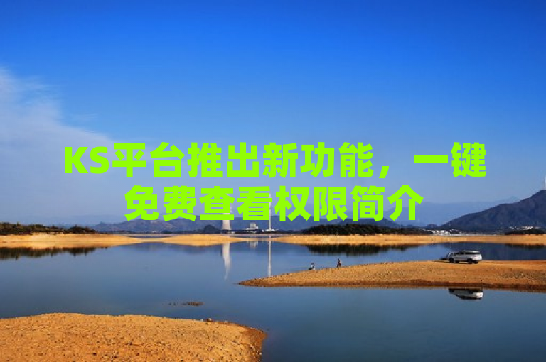 KS平台推出新功能，一键免费查看权限简介