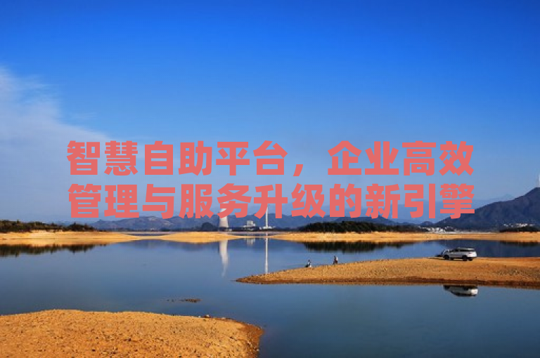 智慧自助平台，企业高效管理与服务升级的新引擎