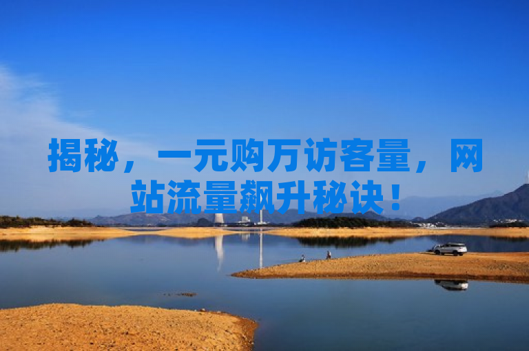 揭秘，一元购万访客量，网站流量飙升秘诀！
