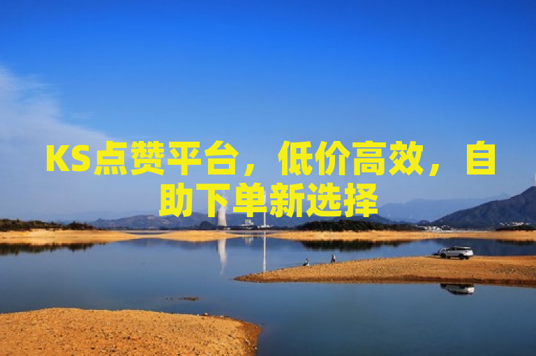 KS点赞平台，低价高效，自助下单新选择