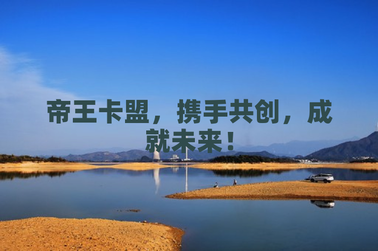 帝王卡盟，携手共创，成就未来！