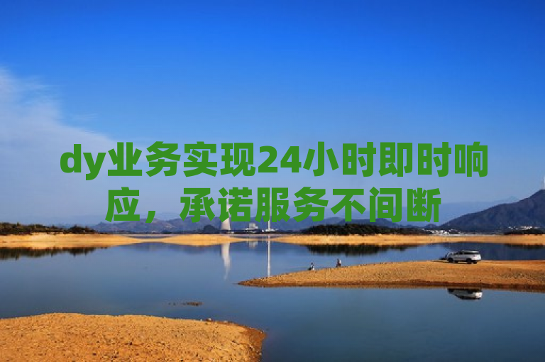 dy业务实现24小时即时响应，承诺服务不间断