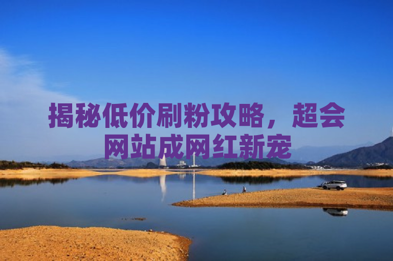 揭秘低价刷粉攻略，超会网站成网红新宠
