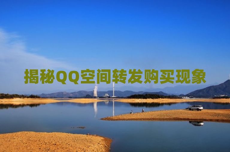 揭秘QQ空间转发购买现象