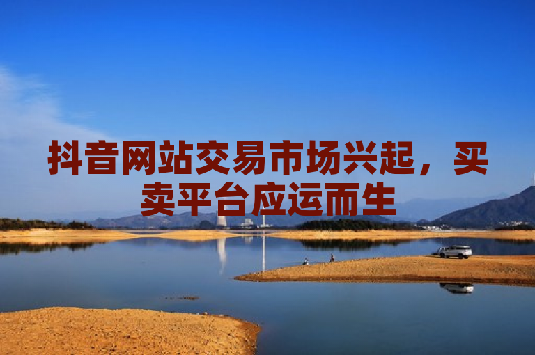 抖音网站交易市场兴起，买卖平台应运而生