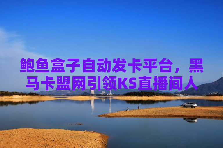 鲍鱼盒子自动发卡平台，黑马卡盟网引领KS直播间人气在线下单新潮流