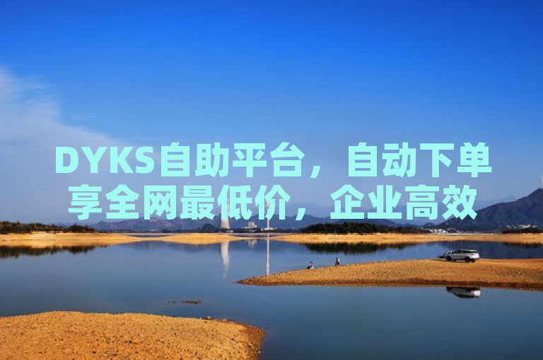 DYKS自助平台，自动下单享全网最低价，企业高效运营新选择