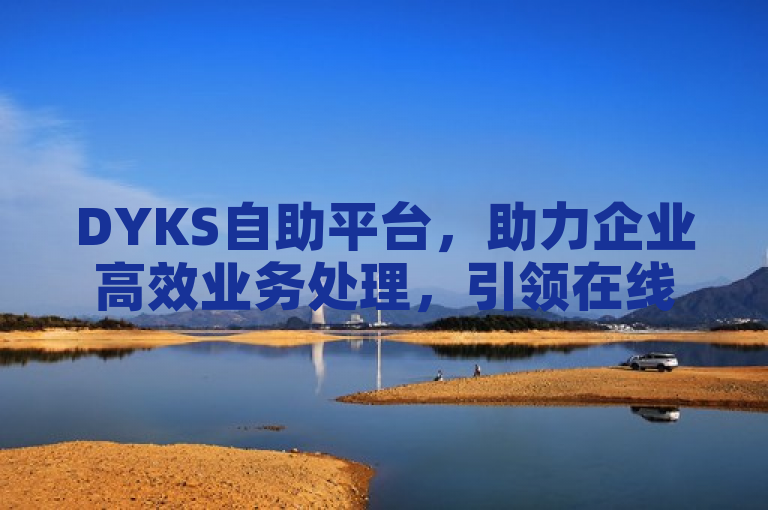 DYKS自助平台，助力企业高效业务处理，引领在线服务新潮流