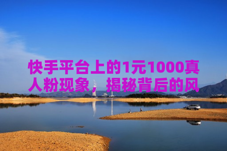 快手平台上的1元1000真人粉现象，揭秘背后的风险与合法增粉策略