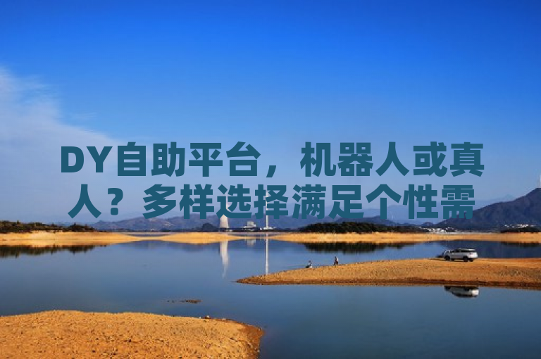 DY自助平台，机器人或真人？多样选择满足个性需求！
