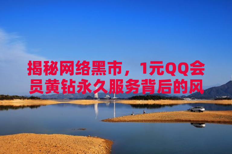 揭秘网络黑市，1元QQ会员黄钻永久服务背后的风险与陷阱，旨在揭示通过非官方渠道获取QQ会员和黄钻服务的低价诱惑及其潜在的风险。网络黑市一词强调了这种交易方式的非法性和隐蔽性，而1元QQ会员黄钻永久服务则直接指出了这种服务的价格优势和看似诱人的承诺。背后的风险与陷阱部分则提醒读者，虽然价格低廉，但可能存在安全隐患、法律风险以及服务质量不稳定等问题。