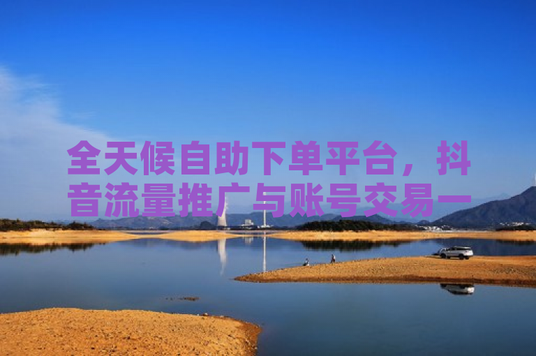 全天候自助下单平台，抖音流量推广与账号交易一站式服务