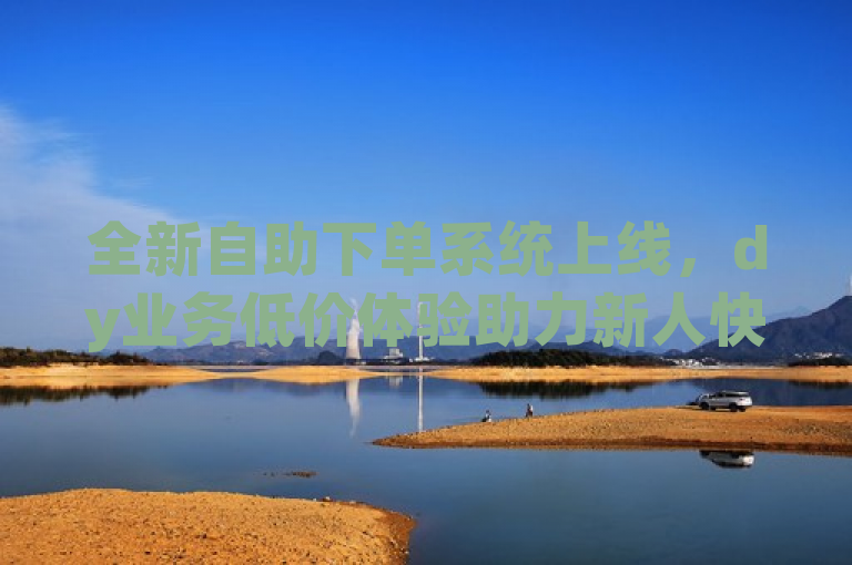 全新自助下单系统上线，dy业务低价体验助力新人快速起步！