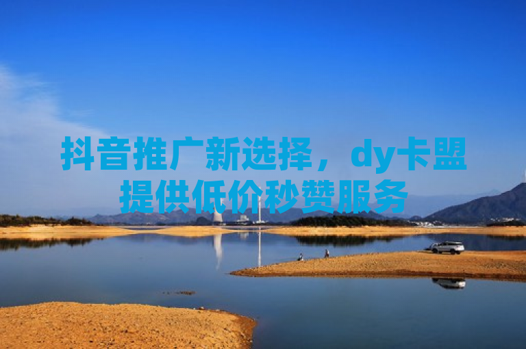 抖音推广新选择，dy卡盟提供低价秒赞服务