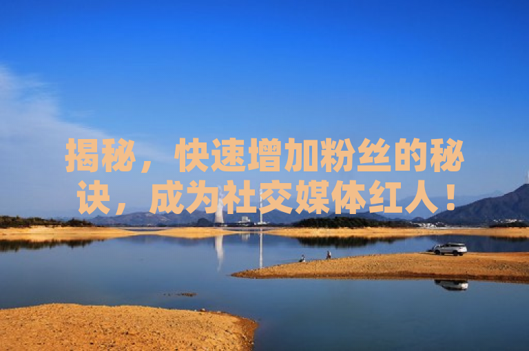 揭秘，快速增加粉丝的秘诀，成为社交媒体红人！