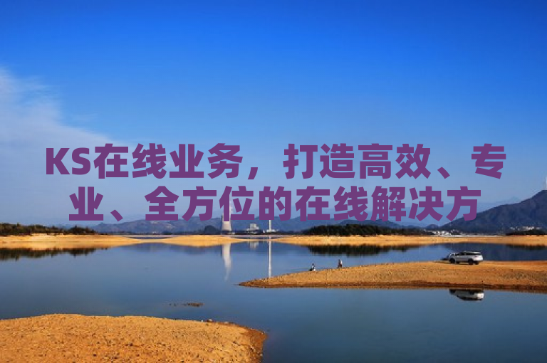 KS在线业务，打造高效、专业、全方位的在线解决方案专家