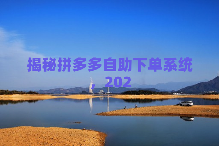揭秘拼多多自助下单系统,2025年电商新趋势