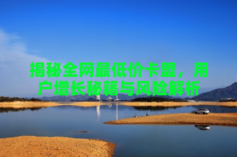 揭秘全网最低价卡盟，用户增长秘籍与风险解析