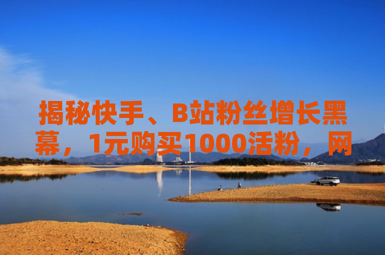 揭秘快手、B站粉丝增长黑幕，1元购买1000活粉，网红经济背后的虚假繁荣，揭示了一种不正当的快手和B站粉丝增长手段，即以极低的价格（1元）购买大量活跃粉丝（1000个），暗示这种现象可能是网红经济中的虚假繁荣。同时，使用黑幕一词吸引读者注意，引发对网红经济真实性的思考。