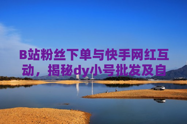 B站粉丝下单与快手网红互动,揭秘dy小号批发及自动发货网站操作流程