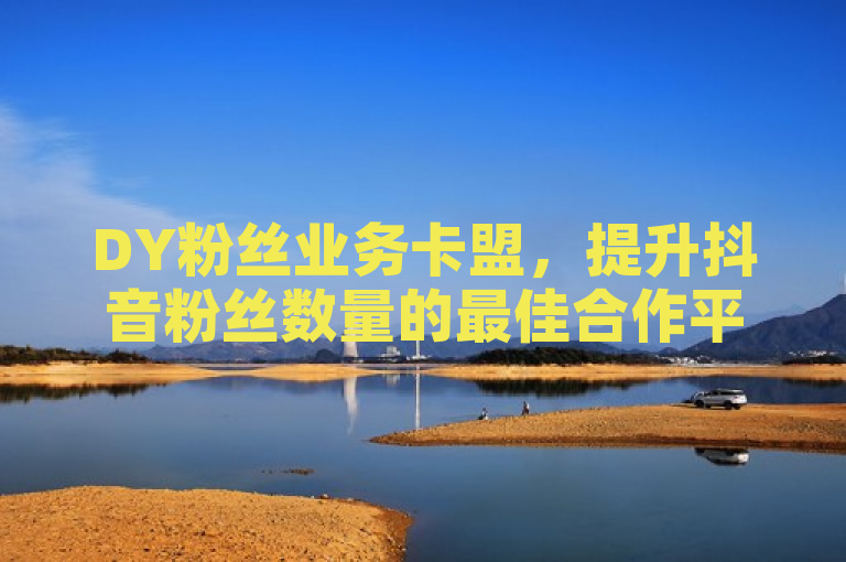 DY粉丝业务卡盟，提升抖音粉丝数量的最佳合作平台