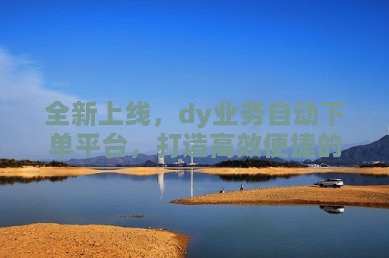 全新上线，dy业务自动下单平台，打造高效便捷的自动化服务体验