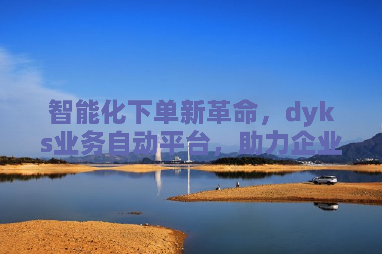 智能化下单新革命，dyks业务自动平台，助力企业高效管理订单流程