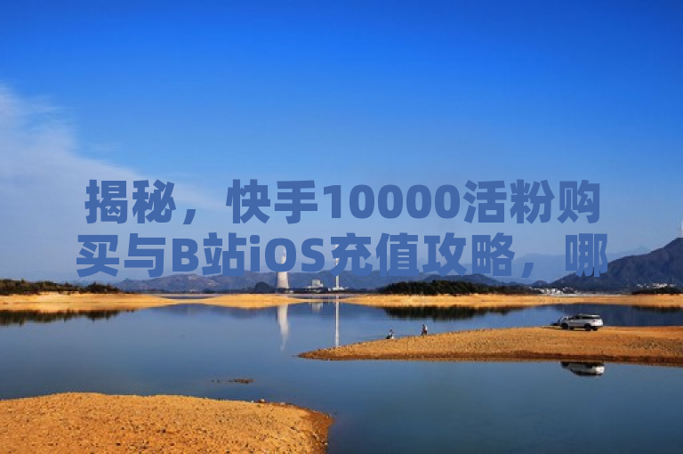 揭秘，快手10000活粉购买与B站iOS充值攻略，哪家平台最划算？