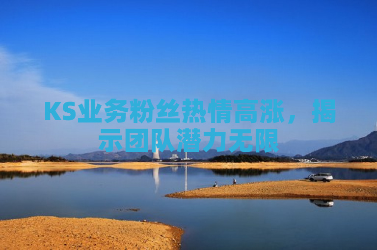 KS业务粉丝热情高涨，揭示团队潜力无限