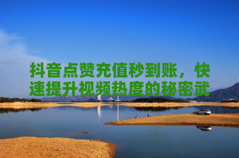 抖音点赞充值秒到账，快速提升视频热度的秘密武器