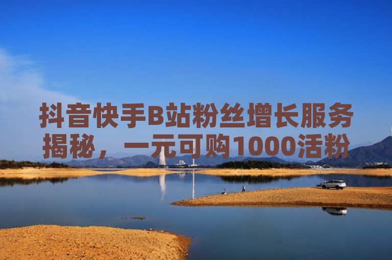 抖音快手B站粉丝增长服务揭秘，一元可购1000活粉，24小时自助下单商城引关注