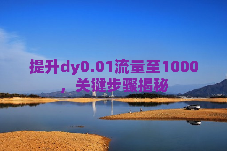 提升dy0.01流量至1000，关键步骤揭秘