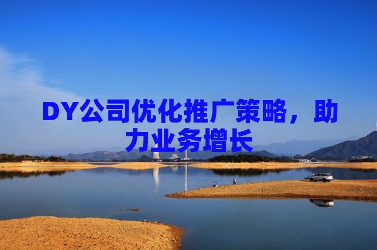 DY公司优化推广策略，助力业务增长
