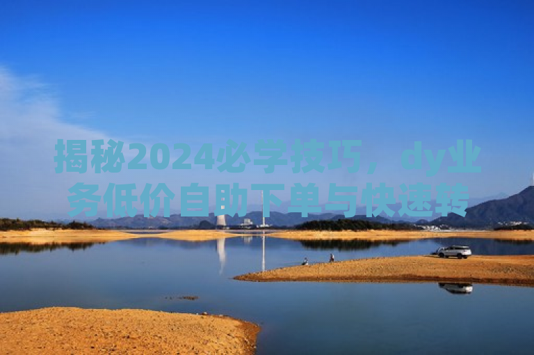 揭秘2024必学技巧，dy业务低价自助下单与快速转发，轻松省钱攻略！