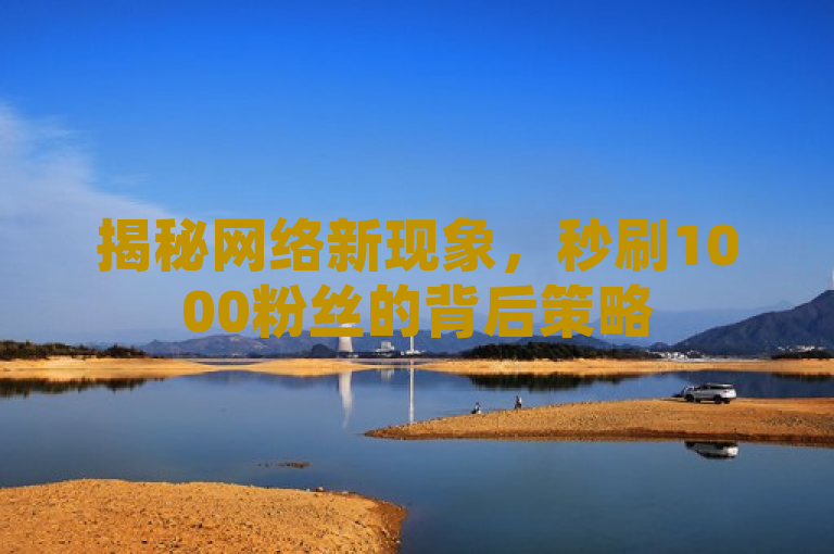 揭秘网络新现象，秒刷1000粉丝的背后策略