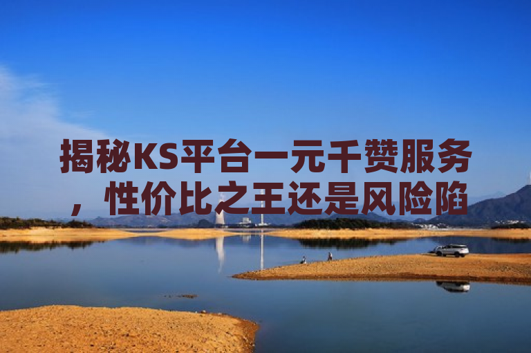 揭秘KS平台一元千赞服务，性价比之王还是风险陷阱？，揭示了KS平台上一项声称一元一千个赞的服务，既强调了其作为性价比之王的吸引力，又暗示了可能存在的风险与陷阱。这样的标题设计旨在引起读者兴趣，探讨这项服务的真实性和潜在问题。