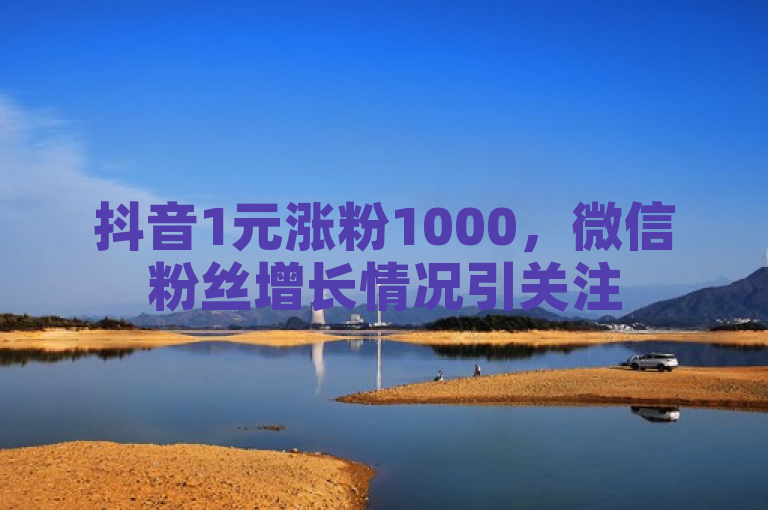 抖音1元涨粉1000，微信粉丝增长情况引关注