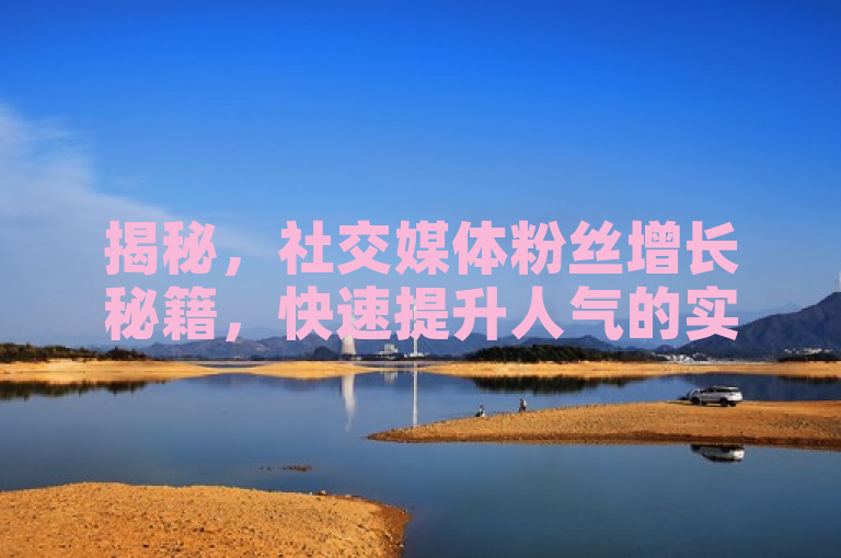 揭秘，社交媒体粉丝增长秘籍，快速提升人气的实用策略