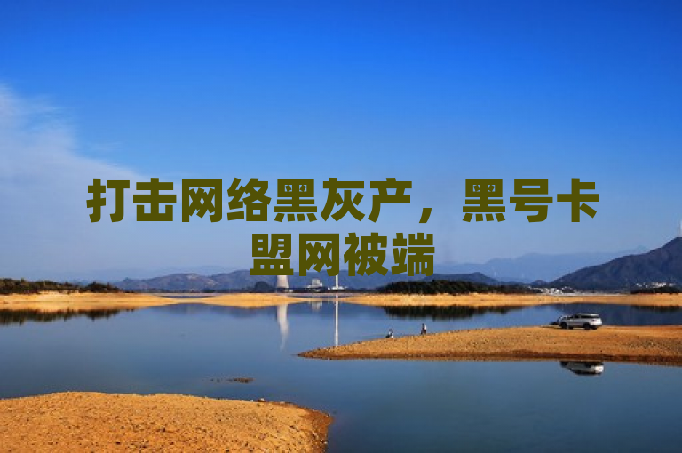 打击网络黑灰产，黑号卡盟网被端