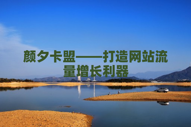 颜夕卡盟——打造网站流量增长利器
