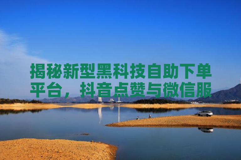 揭秘新型黑科技自助下单平台，抖音点赞与微信服务低价引爆市场