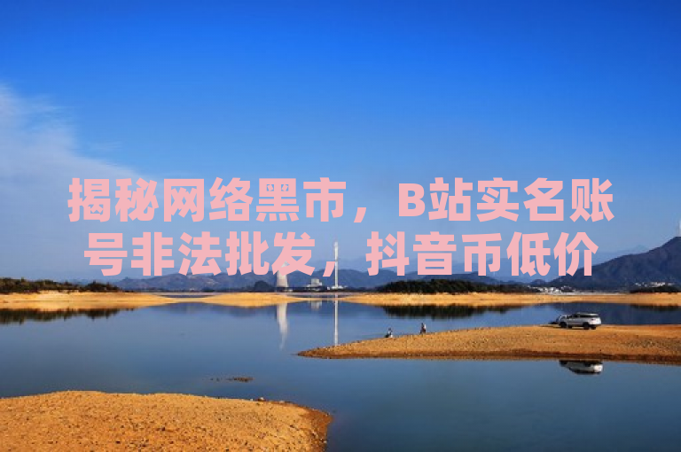 揭秘网络黑市，B站实名账号非法批发，抖音币低价交易背后风险，旨在揭示并批判围绕一元十抖币入口及B站实名账号非法批发的现象，同时警示公众注意抖音业务下单24小时秒到账背后可能隐藏的网络安全与法律风险。通过提及韩婧格免费资料，暗示可能存在的个人信息泄露或不当使用问题，进一步强调保护个人隐私和遵守法律法规的重要性。