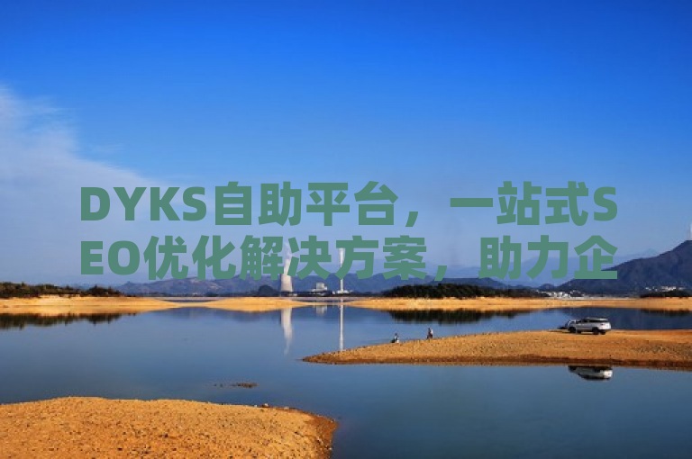 DYKS自助平台，一站式SEO优化解决方案，助力企业提升在线影响力