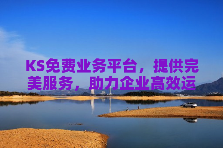 KS免费业务平台，提供完美服务，助力企业高效运营